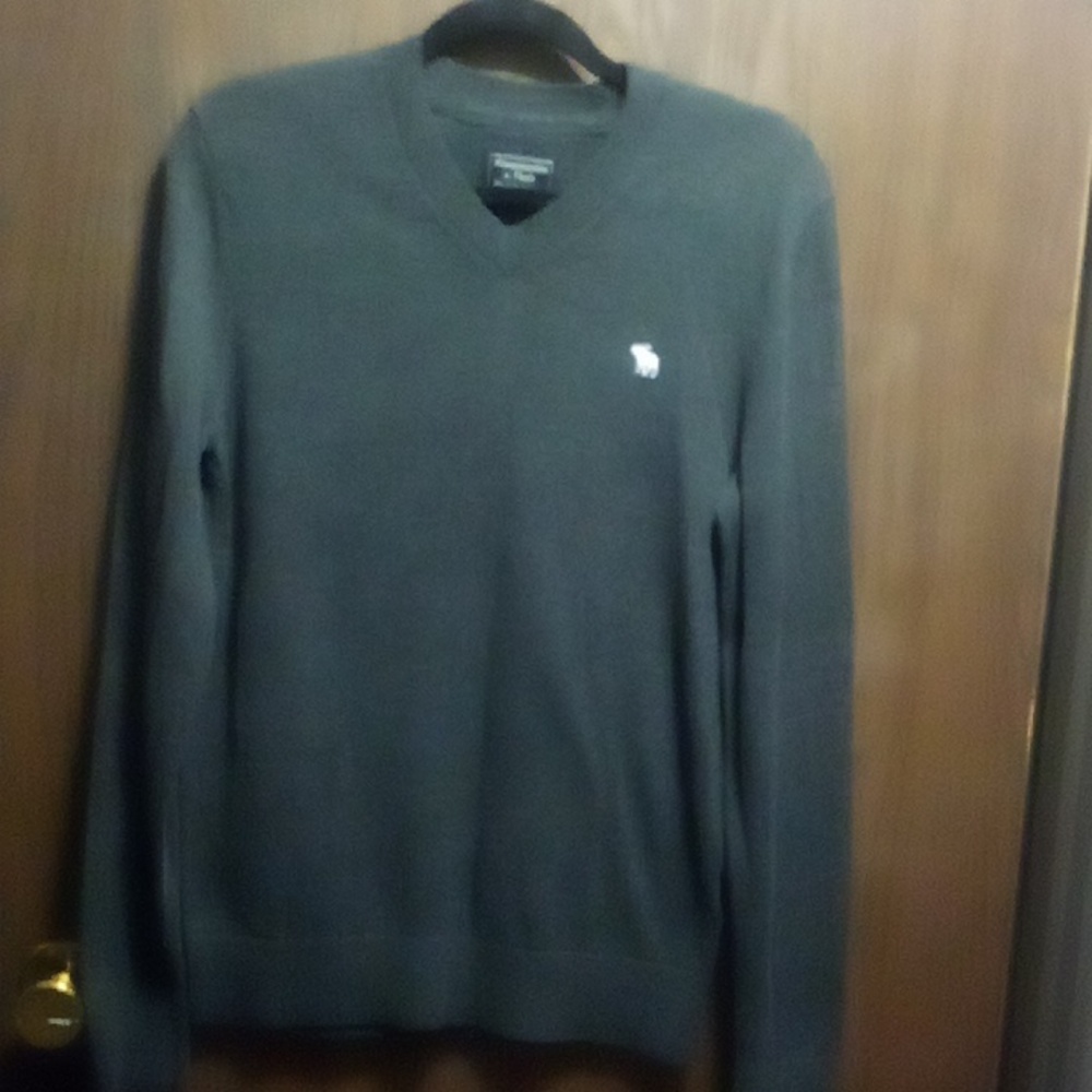 Men's Abercrombie & Fitch Merino Wool Blend Sweater